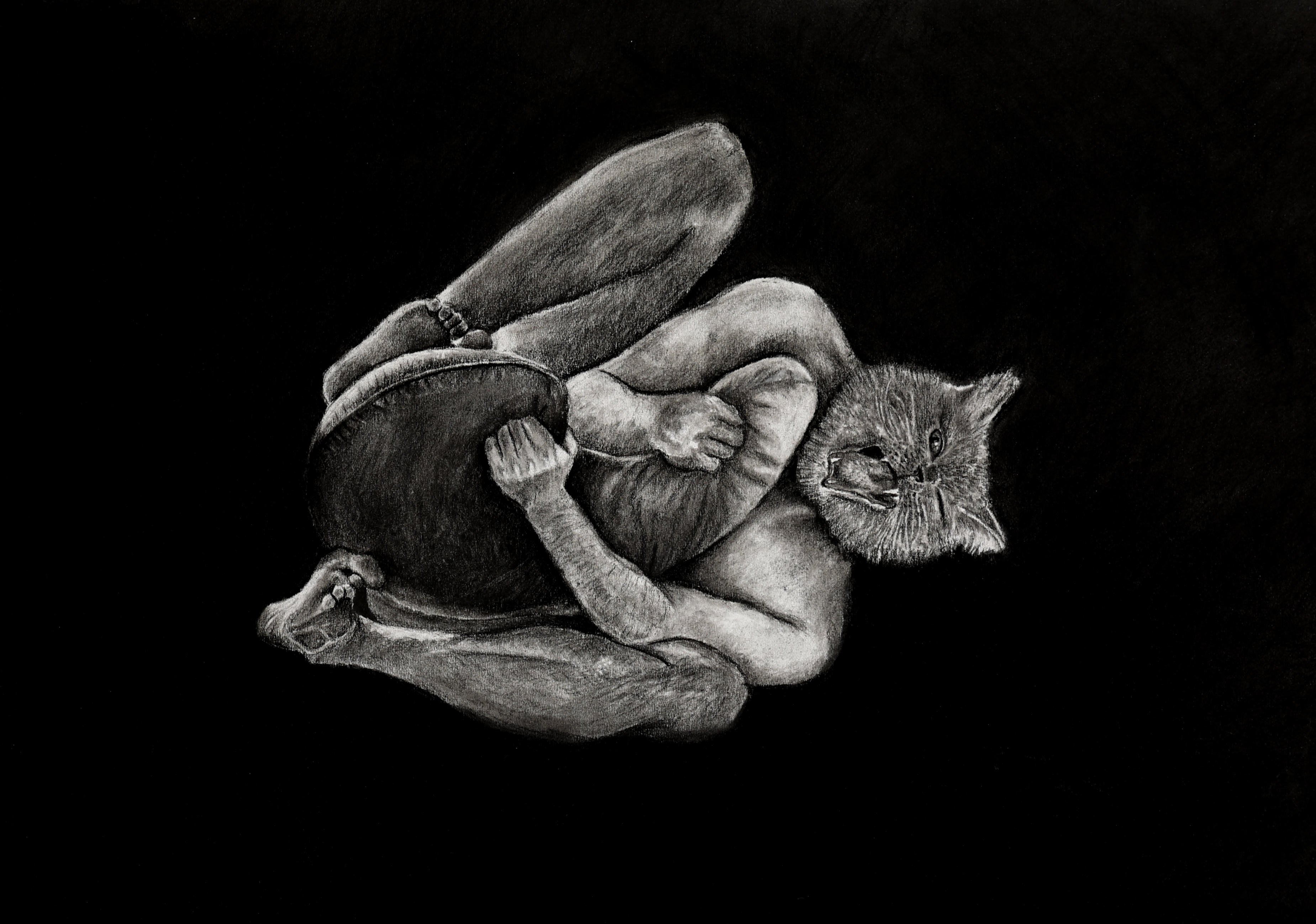 Antropomorfisme 1