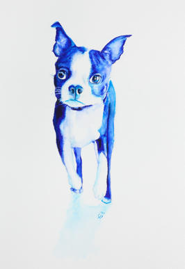 Diego/