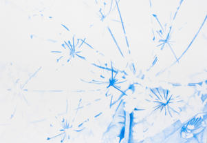Natur 2/